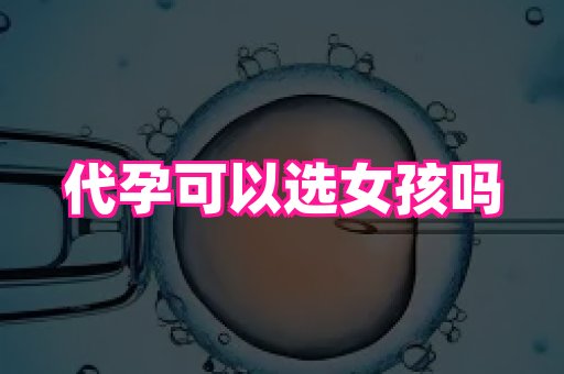 杭州助孕网 1