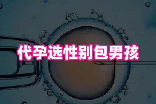 杭州助孕网 1