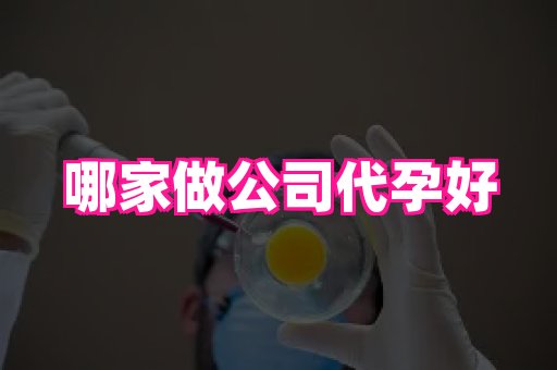 杭州助孕网 2