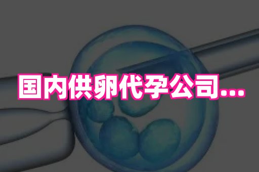 杭州助孕网 3