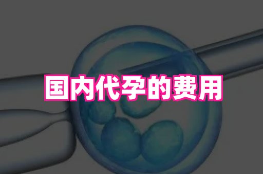杭州助孕网 3