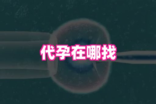 杭州助孕网 4