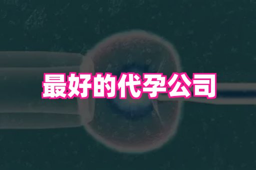 杭州助孕网 4